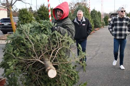 Inflation, labor costs contribute to Christmas tree price increases